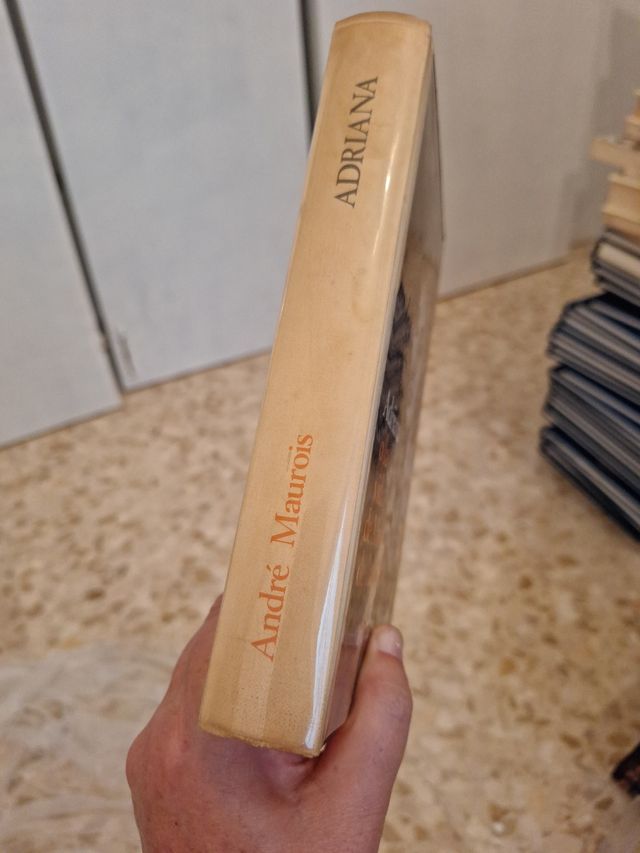 Adriana o la vida de Mme de Lafayette