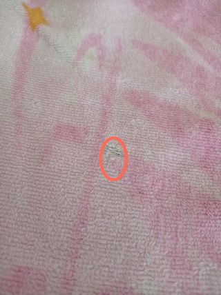 telo mare e bambola Winx