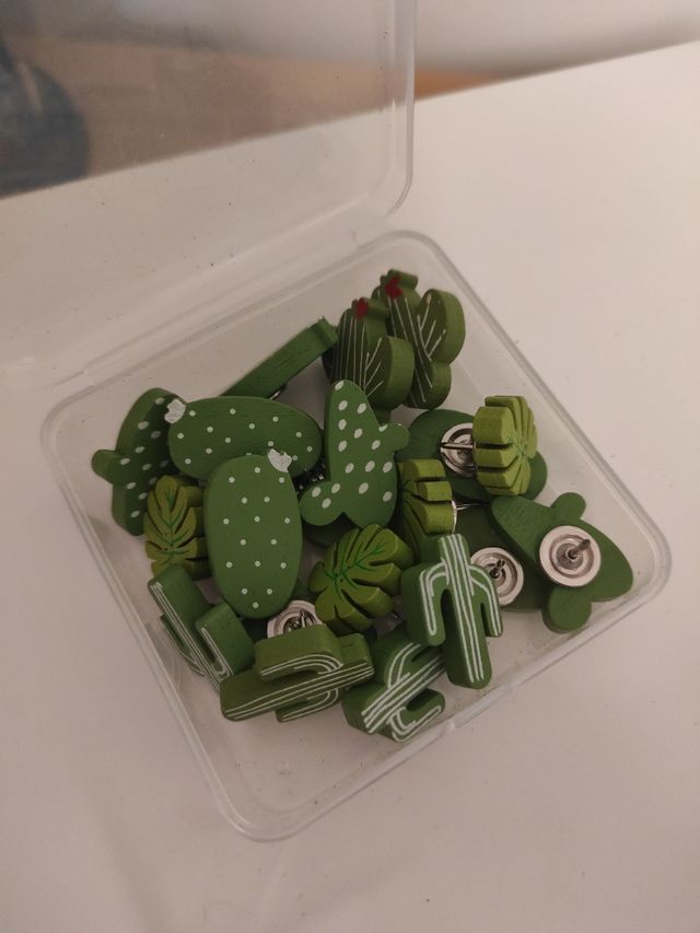 Chintetas madera cactus