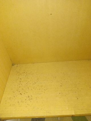 Cómoda mimbre vintage