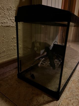Acuario 100L negro con accesorios