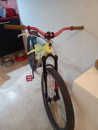 Specialized p3 dirt