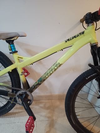 Specialized p3 dirt