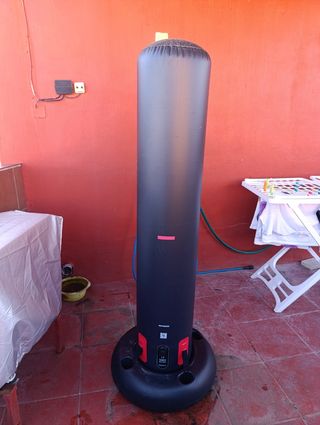 Saco de boxeo de pie