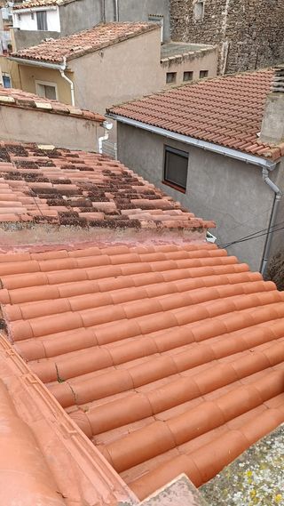 TEJADOS RICARDO 