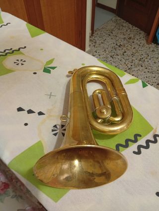 Corneta dorada honsuy 