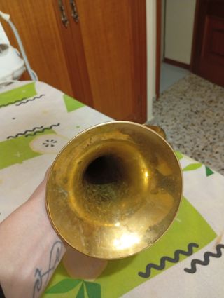 Corneta dorada honsuy 
