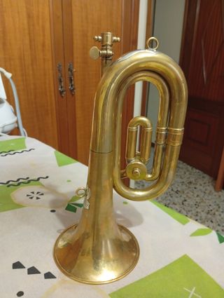 Corneta dorada honsuy 