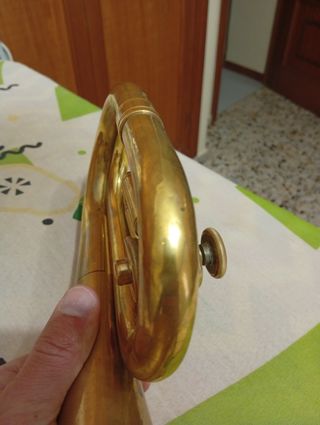Corneta dorada honsuy 