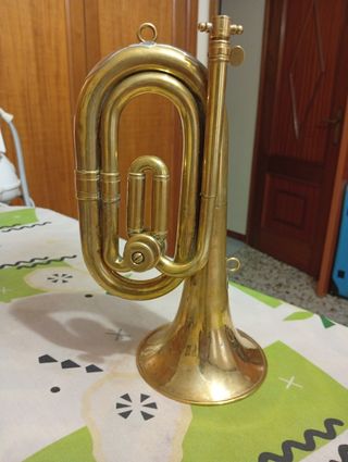 Corneta dorada honsuy 