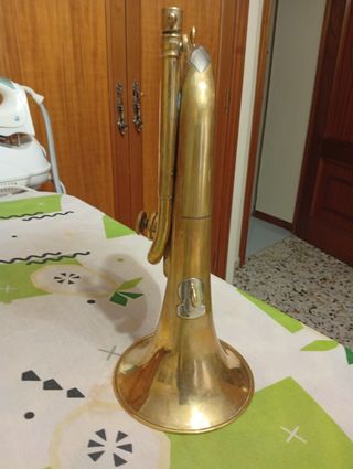 Corneta dorada honsuy 