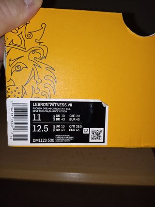 Nike LeBron witness 7