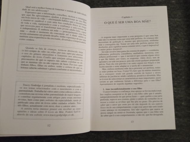 O Livro da Mãe Usado