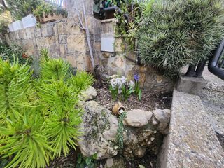 Diseño de jardines