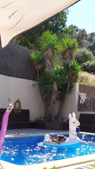 Diseño de jardines