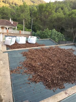 Diseño de jardines