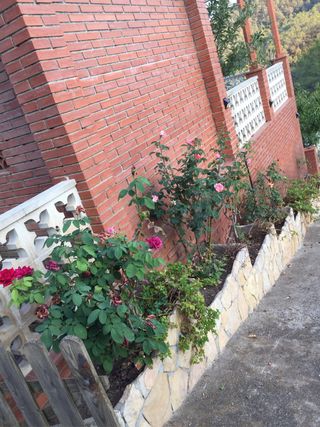 Diseño de jardines