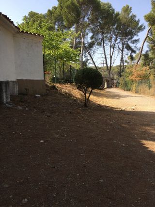Diseño de jardines