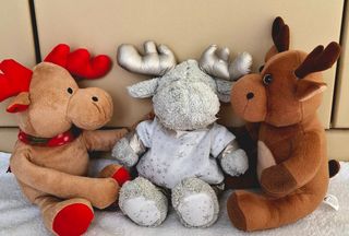 Set peluche Renna 