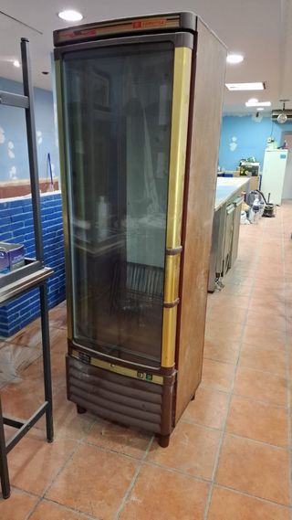 Nevera industrial de cristal