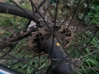 Bicicleta Orbea Avant + Rodillo IN'RIDE 100