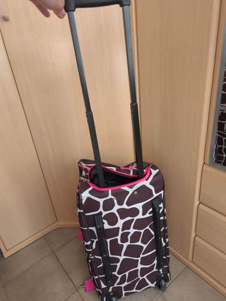 Bolsa de viaje con ruedas