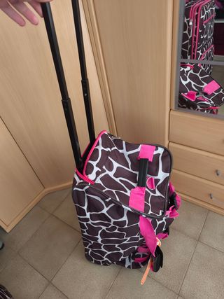 Bolsa de viaje con ruedas
