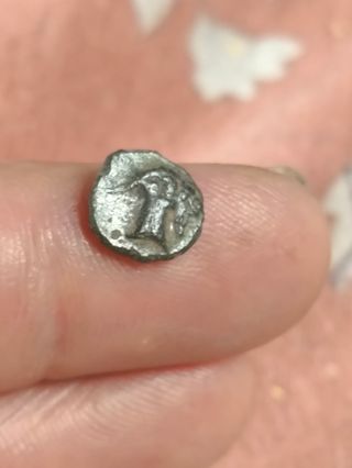 Moneda Griega Aeolis Aegeai