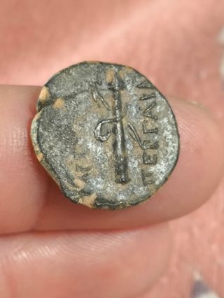 Moneda Griega Pamphylia Perge