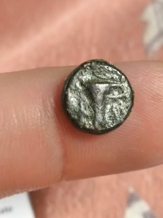 Moneda Griega Aeolis Kyme