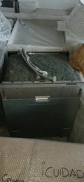 Lavavajillas EAS integrable