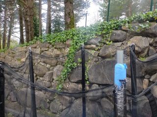 Cama elástica infantil Bounplus, 2m de diametro