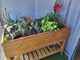 Huerto urbano mesa cultivo jardinera.