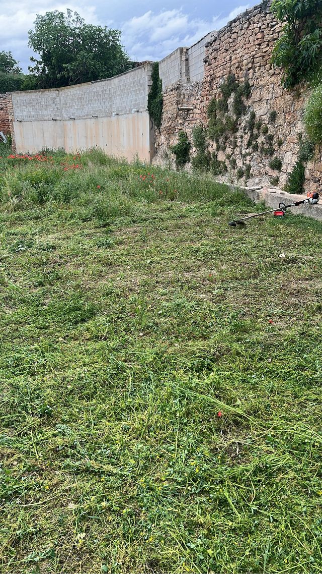 Limpieza huertos piscinas