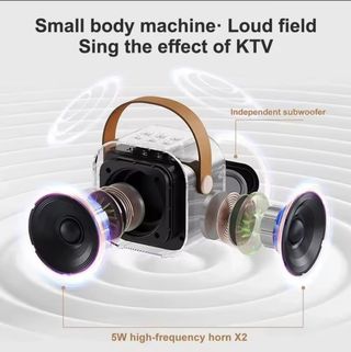 Altavoz Bluetooth Karaoke