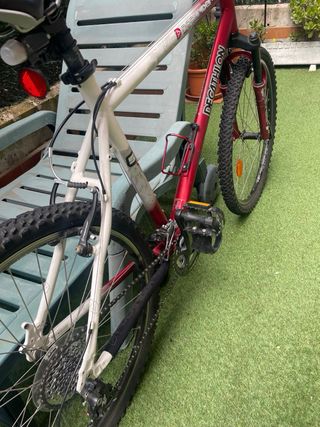 Bicileta de Montaña