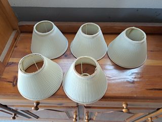 5 Tulipas Clásicas Beige