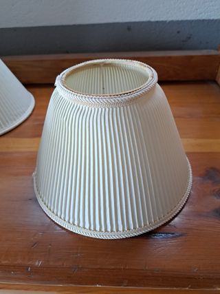 5 Tulipas Clásicas Beige