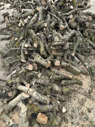 Leña de Olivo - de 30cm a 50cm