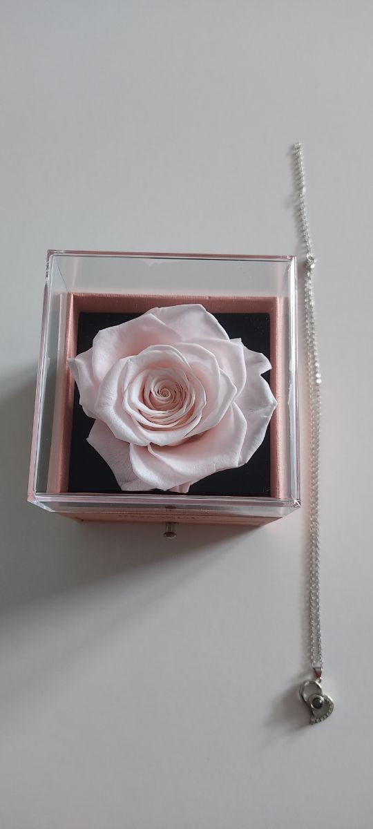 Caja con rosa preservada y colgante