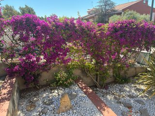 Jardinero