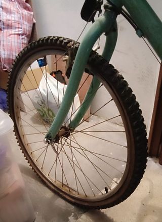 Bicicleta montaña adulto, verde claro