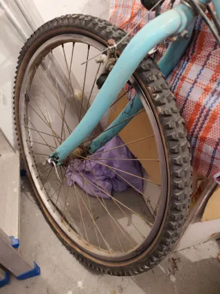Bicicleta montaña adulto, verde claro