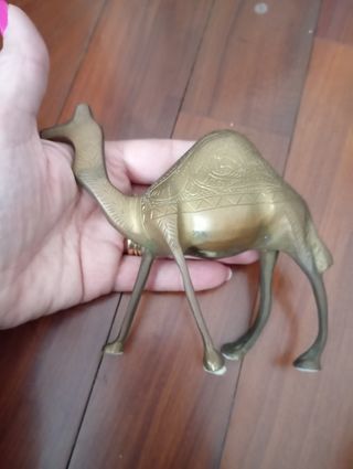 Statua Dromedario Ottone