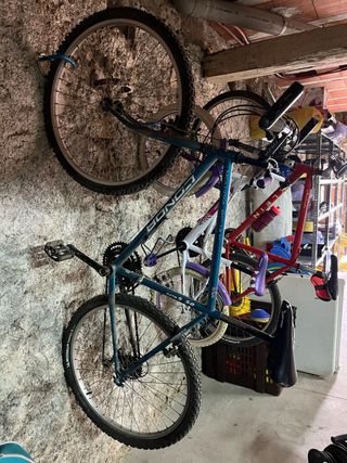 Bicicleta conor adulto