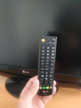 Monitor+TV LG 19" (48,3 cm) Digital M1994D-PZ