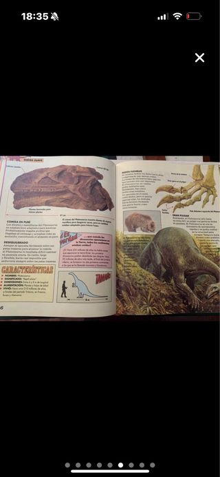 Libros dinosaurios