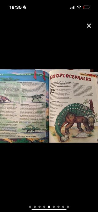 Libros dinosaurios
