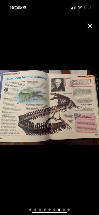 Libros dinosaurios