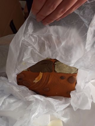 Crash team racing nitro-fueled - crash in kart f4f